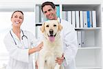 Portrait of happy veterinarians with dog in clinic