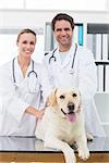 Portrait of confident vets examining dog in clinic