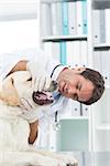 Confident male vet examining teeth of dog in clinic