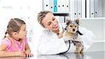 Female veterinarian examining puppy with girl in clinic