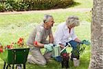 Side view of a happy mature couple watering young plants in the lawn
