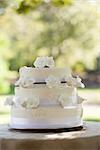 View of a wedding cake on table at the park