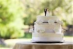 Close-up of figurine couple on wedding cake at the park