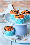 Delicious homemade blueberry muffins on a blue cake ctand.