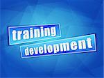 training development over blue background, flat design, business concept words