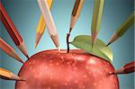 Several pencils making the perfect apple. Clipping path included.