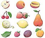 Vector set of fruits at color engraving style