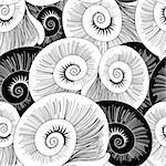 black and white seamless pattern of graphical shells