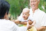 Asian grandparents playing with baby grandson at outdoor garden.