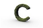 Capital letter c made of leaves on white background