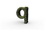 Lower case letter q made of leaves on white background