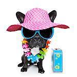 dog on vacation wearing fancy sunglasses and funny flower chain with luggage
