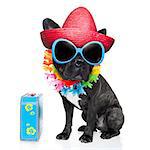 dog on vacation wearing  fancy sunglasses and funny flower chain with luggage