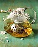 glass teapot with exotic green tea on a wooden table