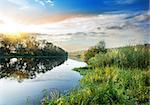 Reeds and duckweed on the river at sunset