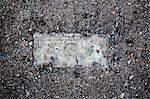 Still life of deteriorating one dollar bill on wet pavement