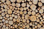 Stack of Spruce Logs, Spessart, Hesse, Germany, Europe