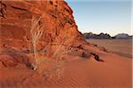 Desert at sunset, Wadi Rum, Jordan