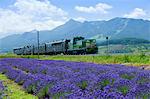 JR Hokkaido train