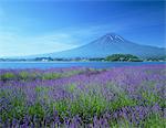 View of Mount Fuji, Japan