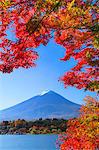 Autumn leaves and Mount Fuji