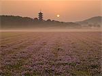 Okayama, Japan