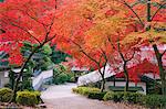 Autumn colors