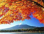 Autumn leaves and Mount Fuji