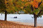 Australia, Australian Capital Territory (ACT), Canberra.  View through autumn leaves to rowers on Lake Burley Griffin.