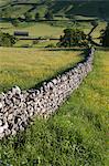 Drystone wall landscape, Wharfedale, Yorkshire Dales National Park