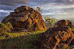 Kenya, Kajiado County, Maasai Wilderness Conservancy. Red boulders bathed in late afternoon sun.