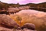 Sylvan Lake,Custer State Park, Black Hills, Custer County, South Dakota, USA (m)