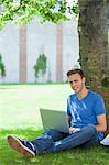 Cheerful handsome student sitting under tree using laptop on college campus