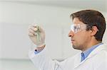 Profile view of beautiful male scientist looking at small test tube in laboratory