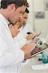 Profile view of some scientists working with their white tablets standing in a laboratory