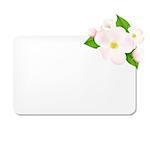 Apple Tree Flowers With Blank Gift Tags, With Gradient Mesh, Vector Illustration