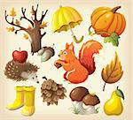 Set of elements and items that represent autumn. Vector