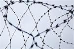 Interlaced barbed Wire over grey sky background