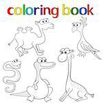 Set of animals for coloring book with giraffe, parrot, camel, boa, crocodile and camel, cartoon vector illustration