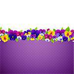 Poster With Colorful Pansies With Gradient Mesh, Vector Illustration