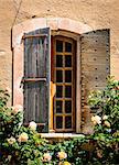 Detail of old vintage wooden window with wild roses, Provence, France