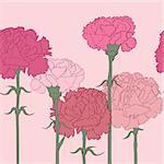 Pink carnations linear pattern over, hand drawn cartoon illustration with beautiful flowers