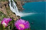 This is a view of  Lara waterfall (the end of Dudan river, Antalya, Turkey). Bright violet flowers are in the foreground.