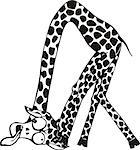 Funny giraffe. Black and white vector illustration in cartoon style.