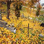 Autumn at old cemetery in Vilnius, Lithuania