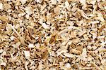 Background of the golden curls from teak Wood shavings.