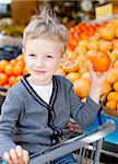 cute little boy sitting in the shopping cart and choosing fruits at the market