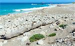 Beautiful summer Lefkada coast landscape with dry trunk of tree on stony beach (Greece, Ionian Sea, )