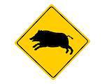 Wild boar warning sign