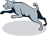 Illustration of an angry barking mastiff dog mongrel viewed from side jumping on white background done in cartoon style.